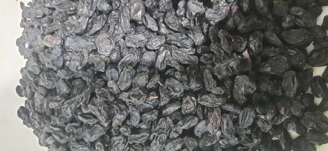 Black Manuka Kishmish raisin  uploaded by Ovi dryfruits and farms on 4/5/2022