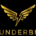 Business logo of Thunderbird