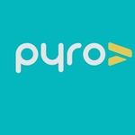 Business logo of Pyro work