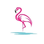 Business logo of Flamingo