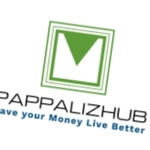 Business logo of Pappalizhub