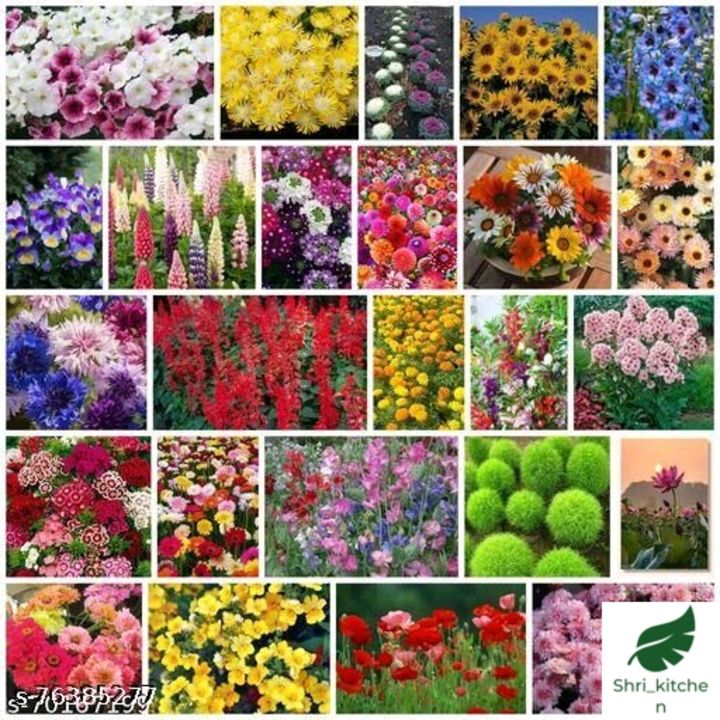 Flower seeds uploaded by business on 4/8/2022