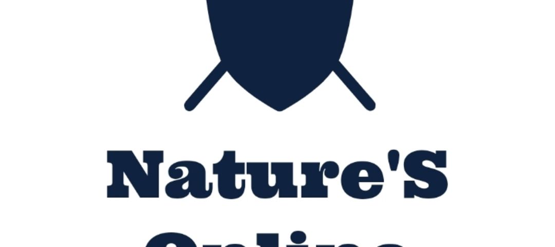 Factory Store Images of Nature'S Online Store