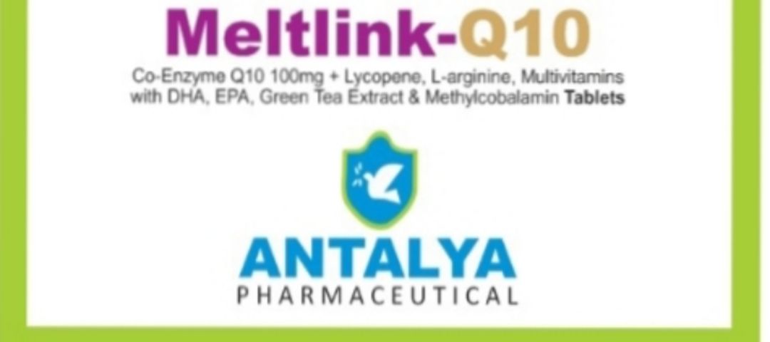 Warehouse Store Images of Antalya Pharmaceutical