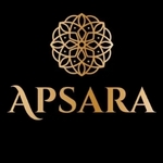 Business logo of APSARA CLOTHES