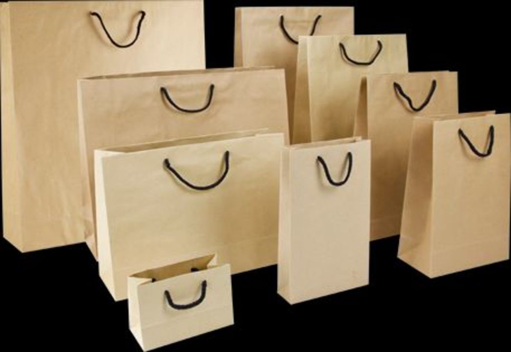 Brown paper bag uploaded by Neo Eco Friendly Products on 4/12/2022