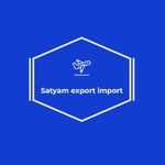 Business logo of Satyam international export import 