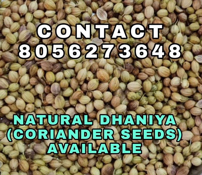 CORIANDER SEEDS uploaded by business on 4/15/2022