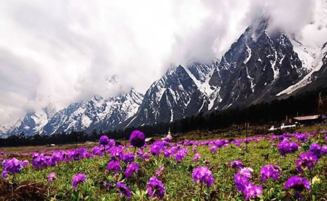 North Sikkim Tour from Njp Station/Siliguri uploaded by Carewell Tours & Travels on 4/16/2022
