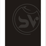Business logo of Styvibe Fashion LLP