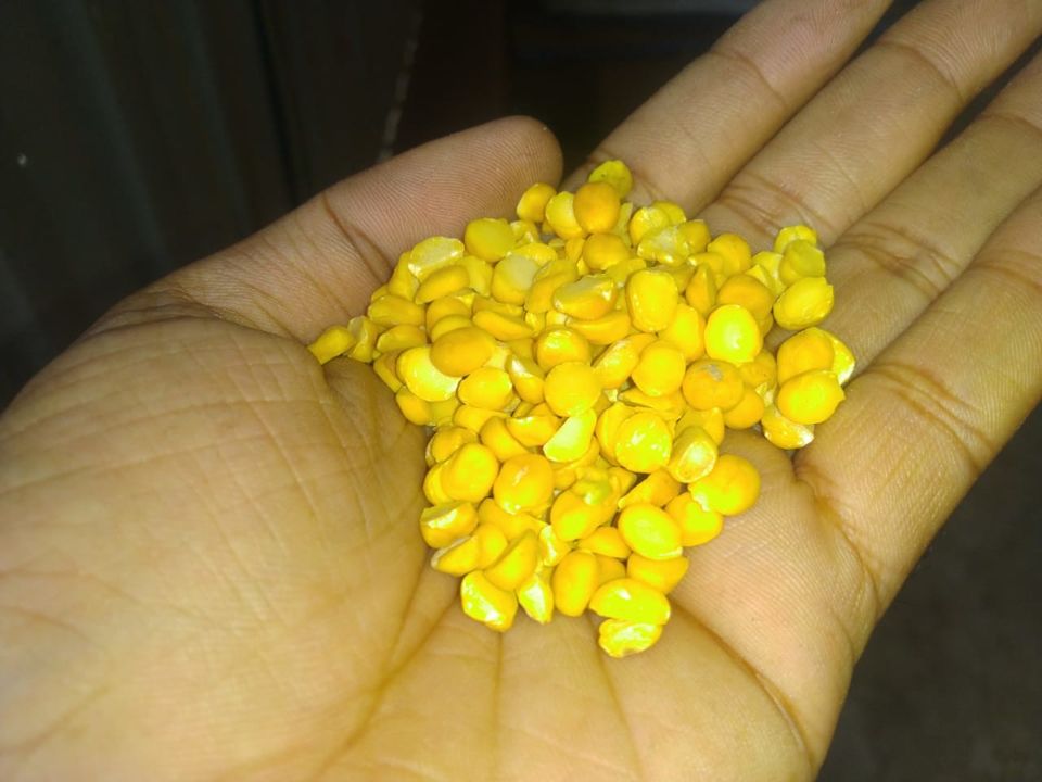 Post image Requirement for Chana daal in bulk QuantityFor Domestic Buyer
kindly call or whatsapp on 8169367532
To see more posts like this and join https://www.facebook.com/neelamtradersmumbai/