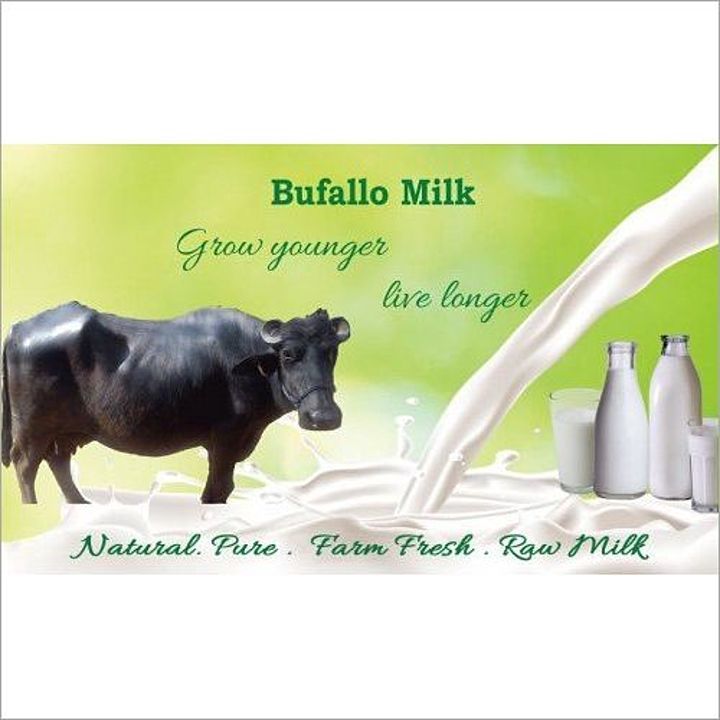 Buffalo Milk  uploaded by Vatika Dairy on 10/21/2020