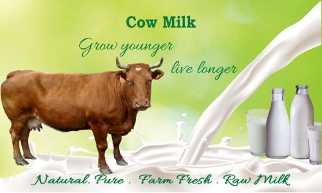 Cow Milk uploaded by business on 10/21/2020