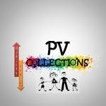 Business logo of PV Collections