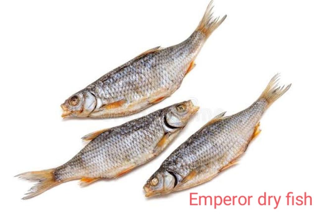 Emperor dry fish uploaded by business on 4/21/2022