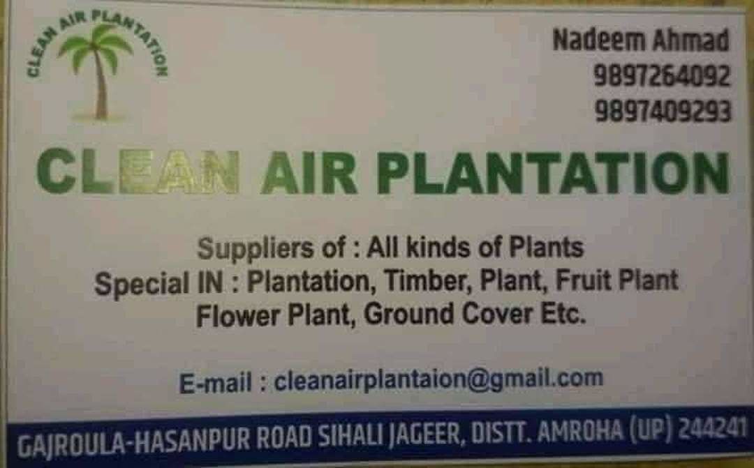 All types of Plantation work 
Garden 
Park
Banquet hall 
Hotel 
Collage  uploaded by Clean Air Plantation  on 6/15/2020