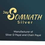Business logo of Jay Somnath Silver