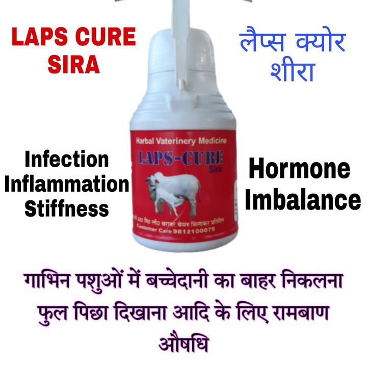 Laps Cure Sira uploaded by Ayurvedic And Herbal Medicine on 4/24/2022