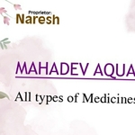 Business logo of Mahadev aqua