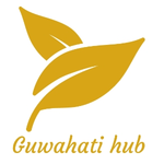 Business logo of Guwahati HUB
