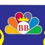 Business logo of BOMMA BROTHERS