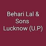 Business logo of Behari Lal & Sons