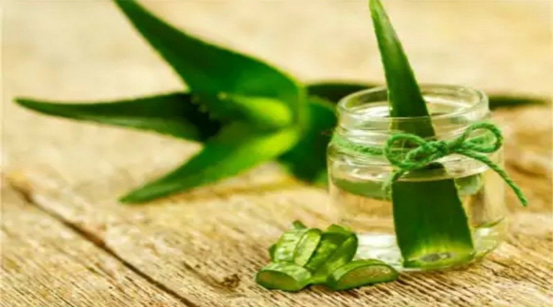 PURE ALOEVERA GEL!! uploaded by business on 4/27/2022