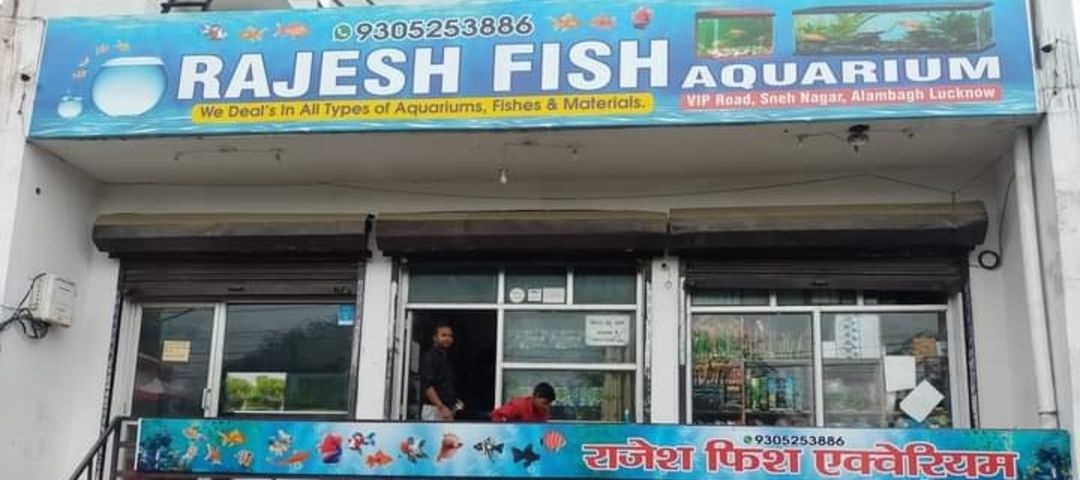 Shop Store Images of Rajesh Fish Aquarium
