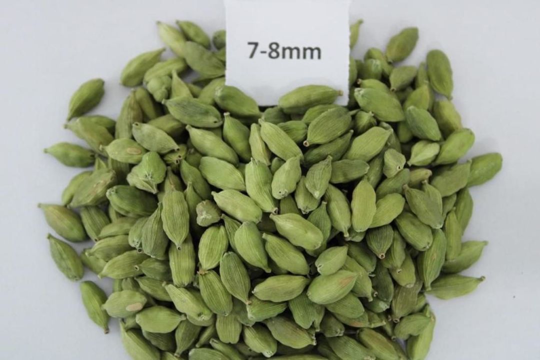 Green cardamom uploaded by UNNAT KRISHI AGRICARE  on 4/28/2022