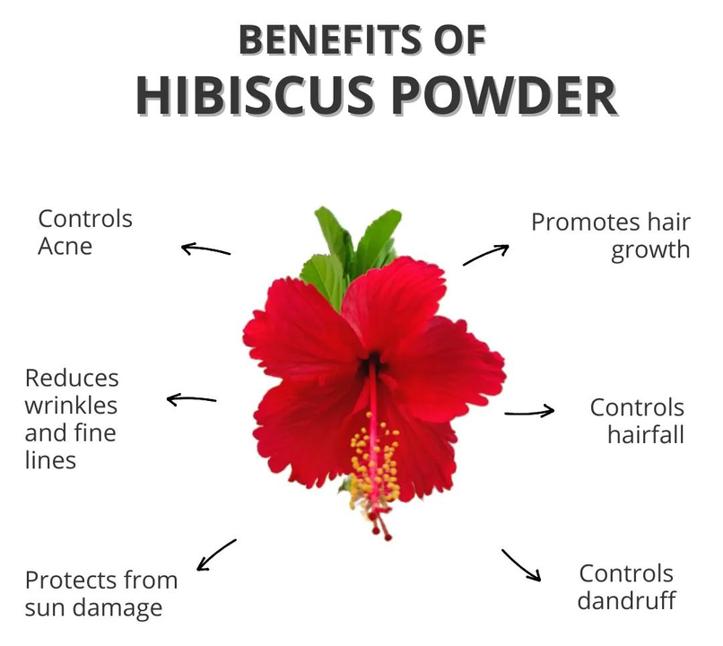 HIBISCUS POWDER uploaded by KASURI HERBS & SPICES PRIVATE LIMITED on 5/5/2022