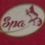 Business logo of S.P.A garments