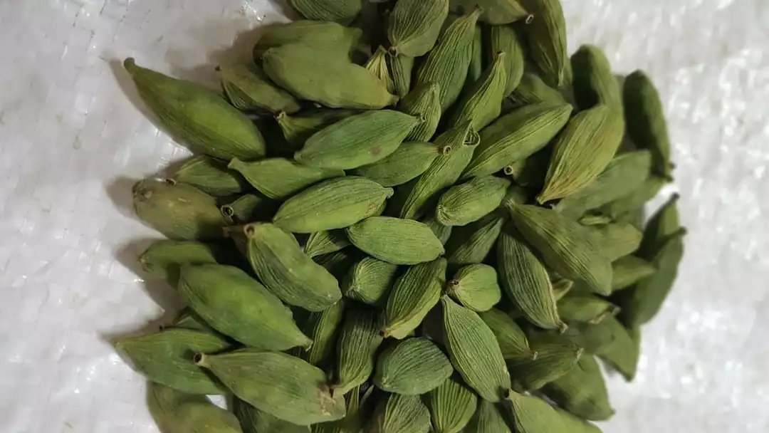 Cardamom hand picked  uploaded by Storex India on 5/6/2022