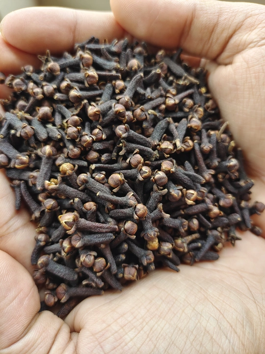 Cloves  uploaded by Storex India on 5/6/2022
