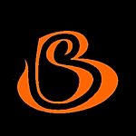 Business logo of Bhadra shrre t shirt hub