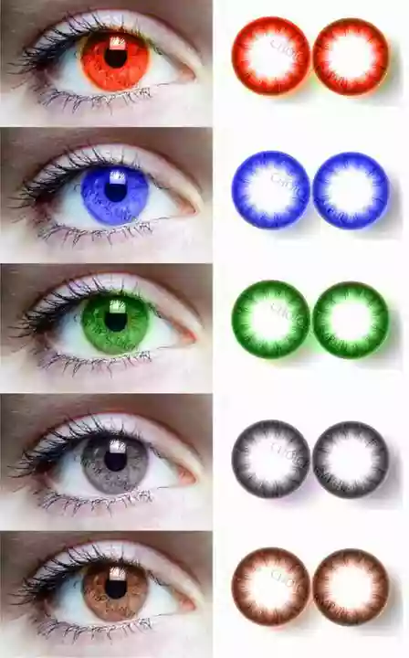 One day disposable contact lenses  uploaded by EYELLUSION EYEWEAR on 5/11/2022