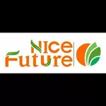 Business logo of Nice future
