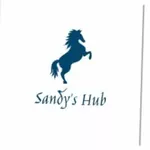 Business logo of Sandy's hub