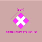 Business logo of Babbu dupatta house
