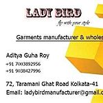 Business logo of Lady Bird