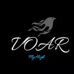 Business logo of Voar hub