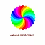 Business logo of ANSHULA RESMI SELLER