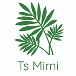Business logo of Ts mimi dresses