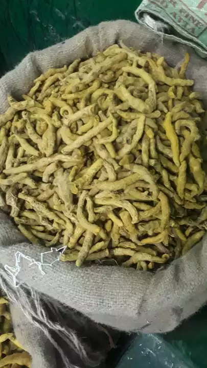 Post image We have organic turmeric finger and powder available at best price. Source: Kandhamal, odishaCurcumin: 6 to 7,%
Only wholesale bulk purchases, no retail
What's app 6371540779
Location: Bhubaneswar, odisha