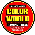 Business logo of COLOR WORLD