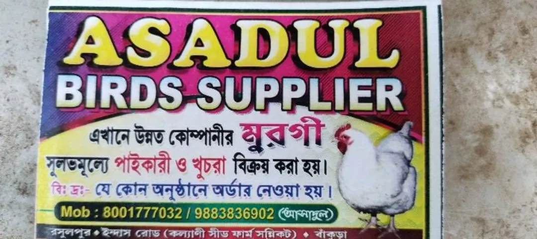 Visiting card store images of Bengal chicken
