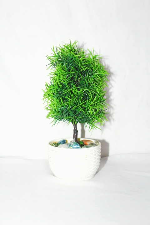 Artificial plants uploaded by Pc Craft & Creations on 5/24/2022