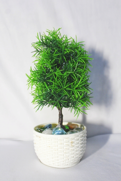 Artificial plants uploaded by Pc Craft & Creations on 5/24/2022