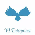 Business logo of VI ENTERPRINET