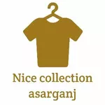 Business logo of Nice collection asarganj