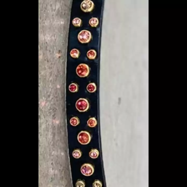 Leather dog collar uploaded by R&G world on 5/28/2022
